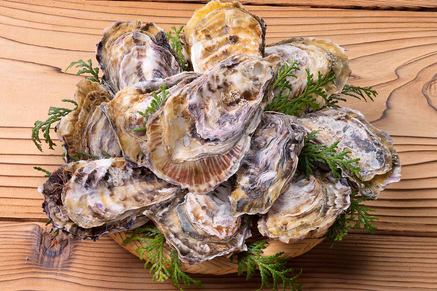 海外・国内からツアー観光に人気の岡山にある牡蠣料理・海鮮料理の磯「冷凍牡蠣販売・牡蠣の磯煮」