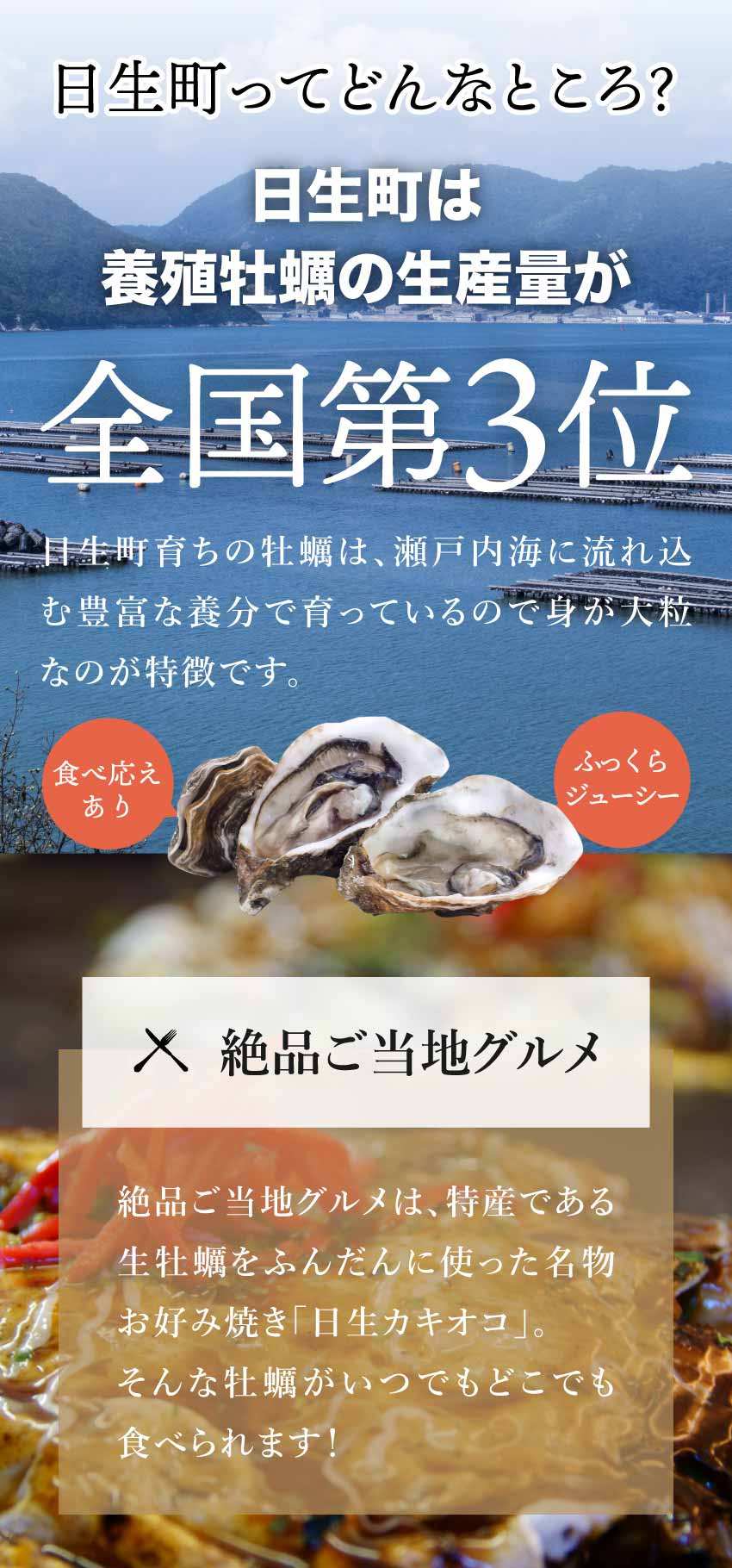 冷凍牡蠣販売・牡蠣の磯煮販売ページ7